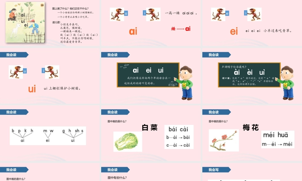 一年级语文上册 汉语拼音 10 ai ei ui课件 苏教版-苏教版小学一年级上册语文课件