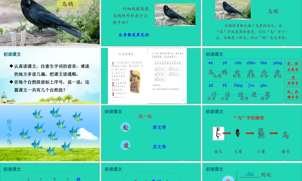 一年级语文上册 课文 《乌鸦喝水》课件+素材 新人教版