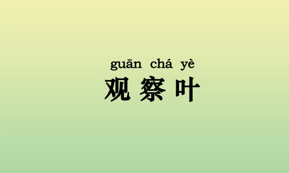 一年级科学上册 第1单元 植物 3《观察叶》课件 教科版-教科版小学一年级上册自然科学课件