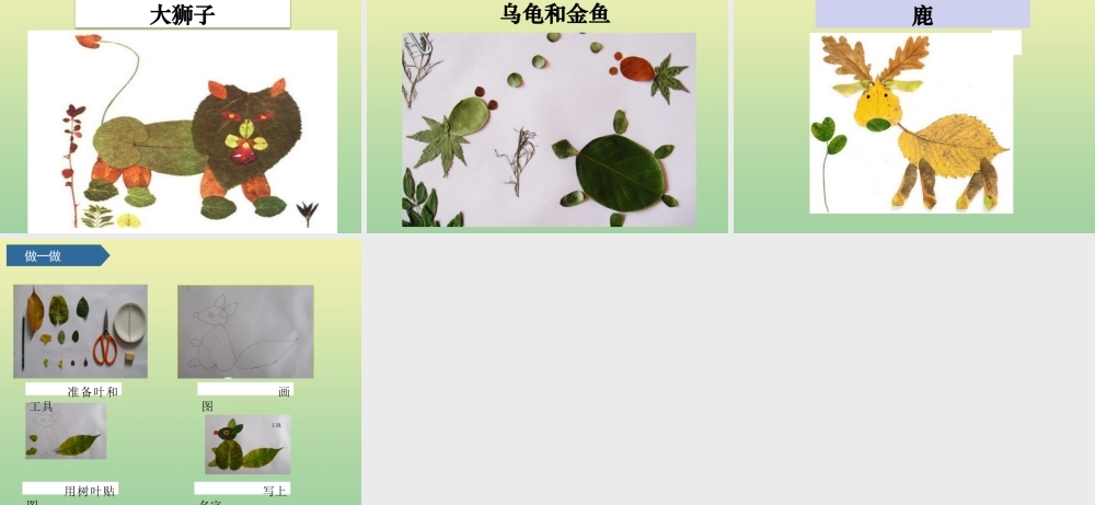 一年级科学上册 第1单元 植物 3《观察叶》课件 教科版-教科级上册自然科学课件