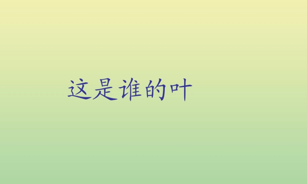 一年级科学上册 第1单元 植物 4《这是谁的叶》课件 教科版-教科版小学一年级上册自然科学课件