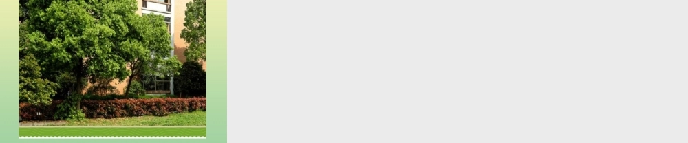 一年级科学上册 第1单元 植物 4《这是谁的叶》课件 教科版-教科版小学一年级上册自然科学课件