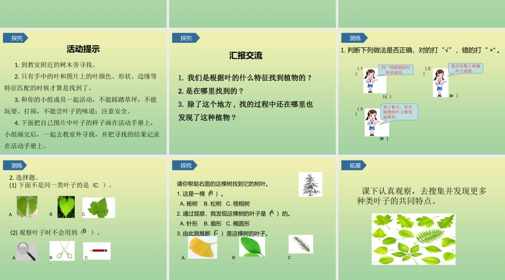一年级科学上册 第1单元 植物 4《这是谁的叶》课件 教科版-教科级上册自然科学课件
