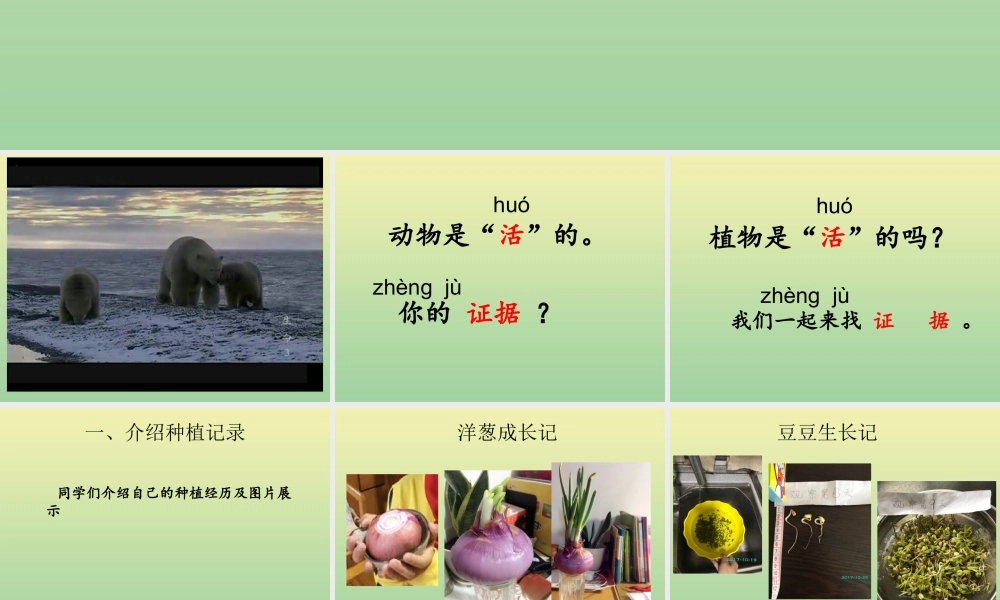 一年级科学上册 第1单元 植物 5《植物是“活”的吗》课件 教科版-教科版小学一年级上册自然科学课件