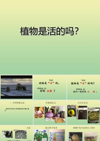 一年级科学上册 第1单元 植物 5《植物是“活”的吗》课件 教科版-教科版小学一年级上册自然科学课件