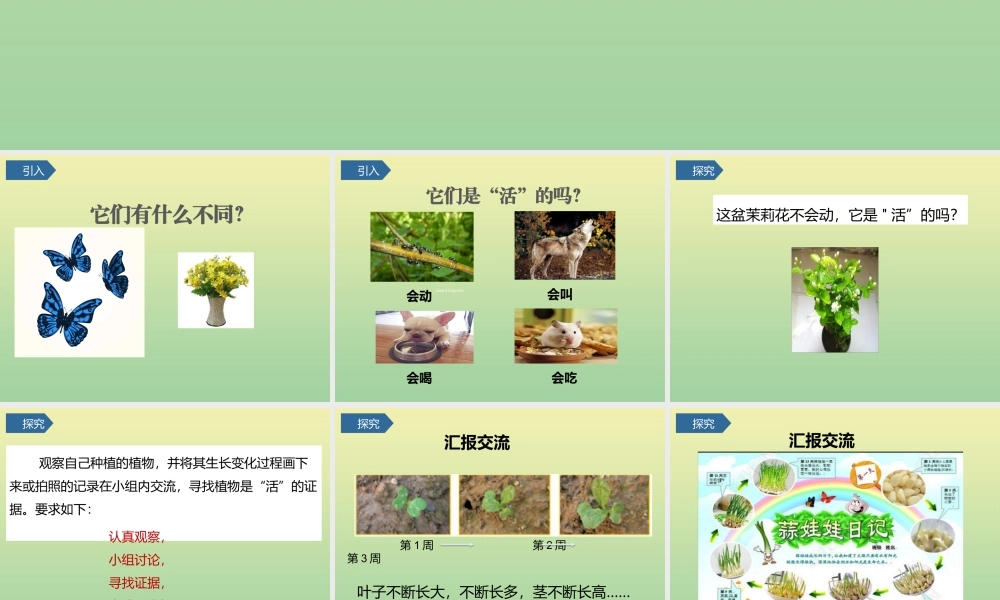一年级科学上册 第1单元 植物 5《植物是“活”的吗》课件 教科版-教科级上册自然科学课件