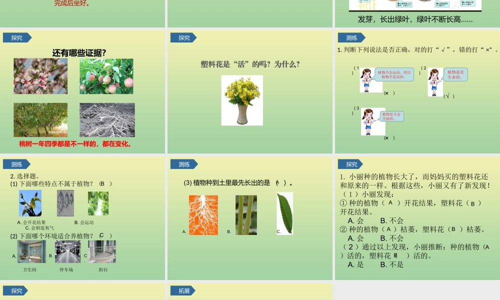 一年级科学上册 第1单元 植物 5《植物是“活”的吗》课件 教科版-教科级上册自然科学课件
