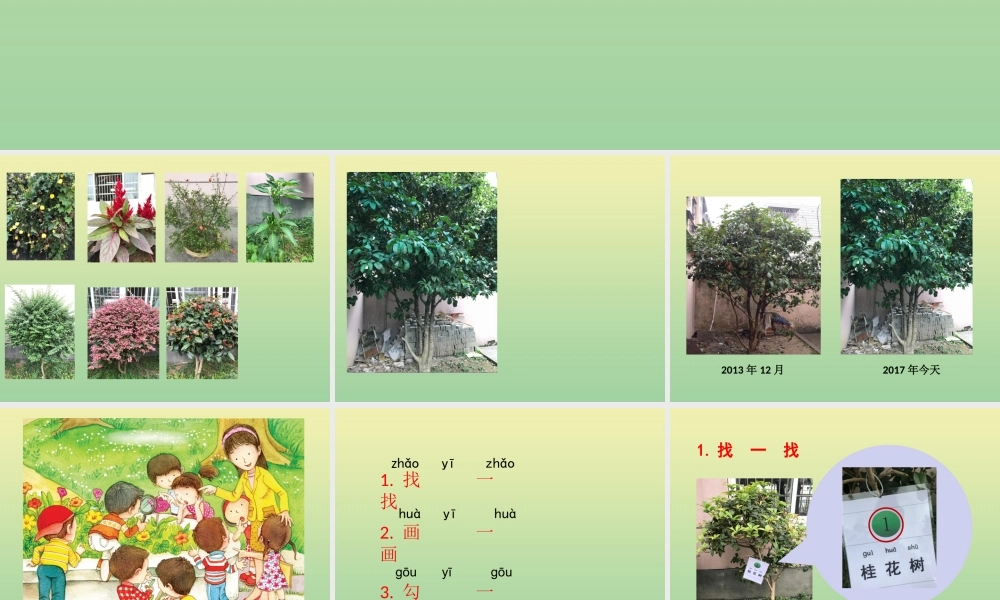 一年级科学上册 第1单元 植物 6《校园里的植物》课件 教科版-教科版小学一年级上册自然科学课件