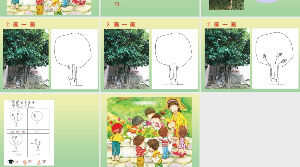 一年级科学上册 第1单元 植物 6《校园里的植物》课件 教科版-教科版小学一年级上册自然科学课件