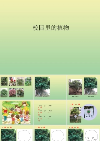 一年级科学上册 第1单元 植物 6《校园里的植物》课件 教科版-教科版小学一年级上册自然科学课件
