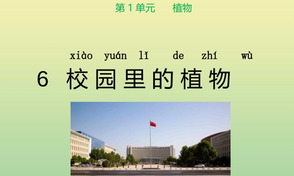 一年级科学上册 第1单元 植物 6《校园里的植物》课件 教科版-教科级上册自然科学课件