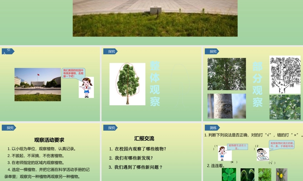 一年级科学上册 第1单元 植物 6《校园里的植物》课件 教科版-教科级上册自然科学课件