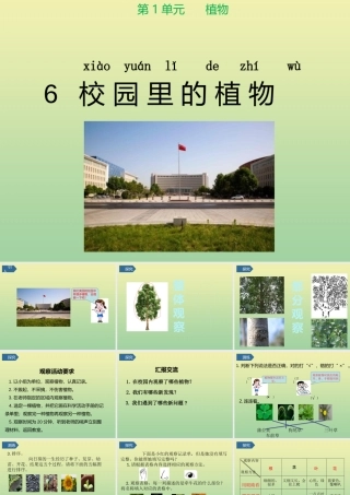 一年级科学上册 第1单元 植物 6《校园里的植物》课件 教科版-教科级上册自然科学课件