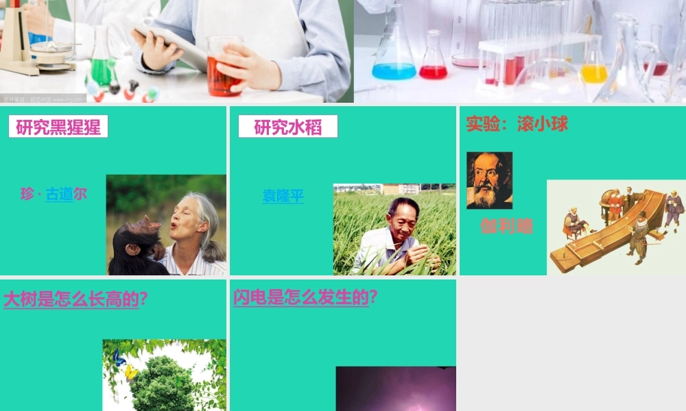 一年级科学上册 第1课《小小科学家》课件（2） 苏教版-苏教版小学一年级上册自然科学课件