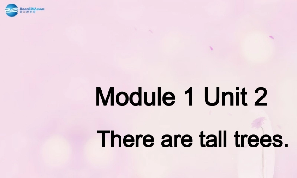 2014秋五年级英语上册 Module 1 Unit 2 There are tall trees now课件3 外研版（一起）