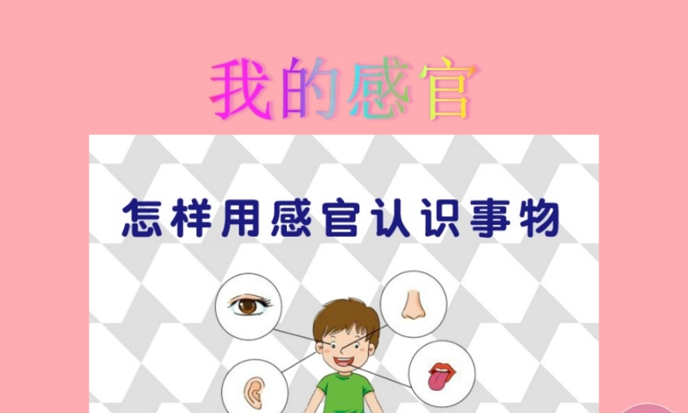 一年级科学上册 第2课 我的感官课件 冀教版-冀教版小学一年级上册自然科学课件