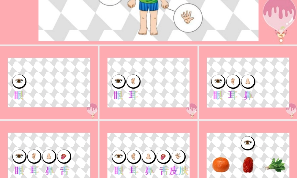 一年级科学上册 第2课 我的感官课件 冀教版-冀教版小学一年级上册自然科学课件