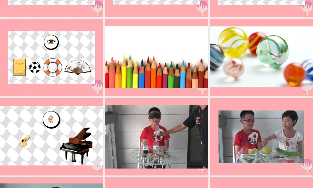 一年级科学上册 第2课 我的感官课件 冀教版-冀教版小学一年级上册自然科学课件