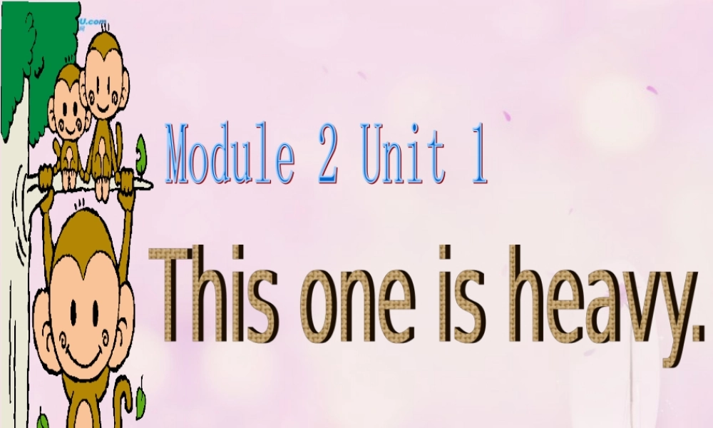 2014秋五年级英语上册 Module 2 Unit 1 This one is heavy课件2 外研版（一起）