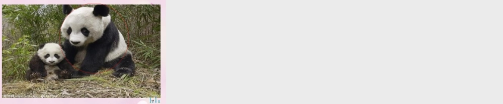 2014秋五年级英语上册 Module 2 Unit 1 This one is heavy课件4 外研版（一起）