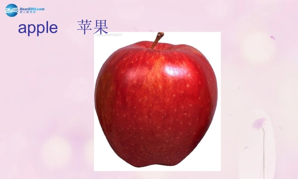 2014秋五年级英语上册 Module 2 Unit 2 They sell different things课件1 外研版（一起）