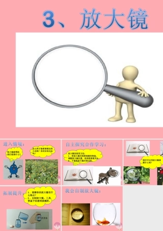一年级科学上册 第3课 放大镜课件 冀教版-冀教版小学一年级上册自然科学课件