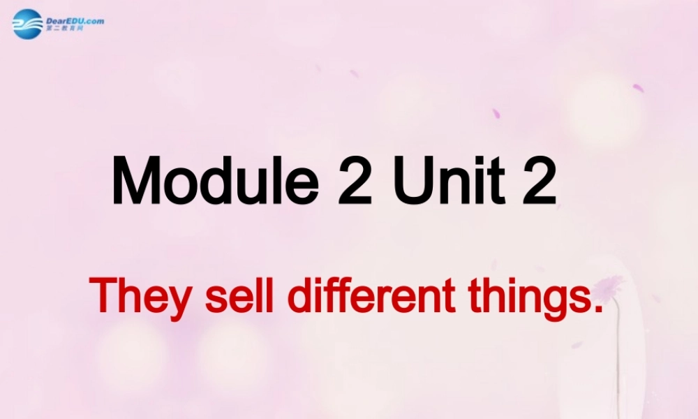 2014秋五年级英语上册 Module 2 Unit 2 They sell different things课件2 外研版（一起）