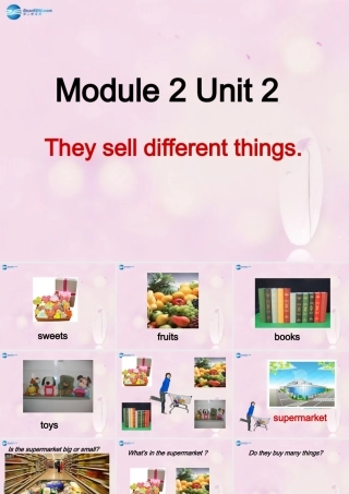 2014秋五年级英语上册 Module 2 Unit 2 They sell different things课件2 外研版（一起）