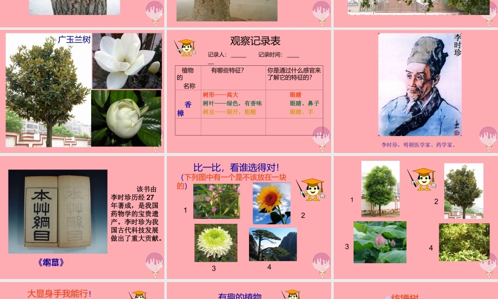 一年级科学上册 第4课 身边的植物课件 冀教版-冀教版小学一年级上册自然科学课件