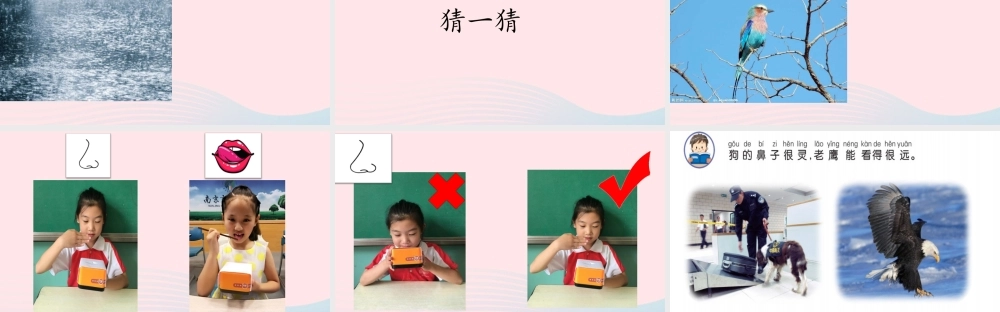 一年级科学上册 第4课《认识感官》课件（1） 苏教版-苏教版小学一年级上册自然科学课件