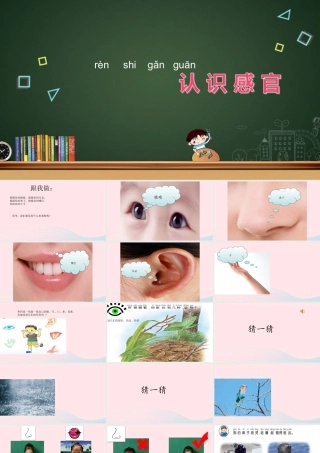 一年级科学上册 第4课《认识感官》课件（1） 苏教版-苏教版小学一年级上册自然科学课件