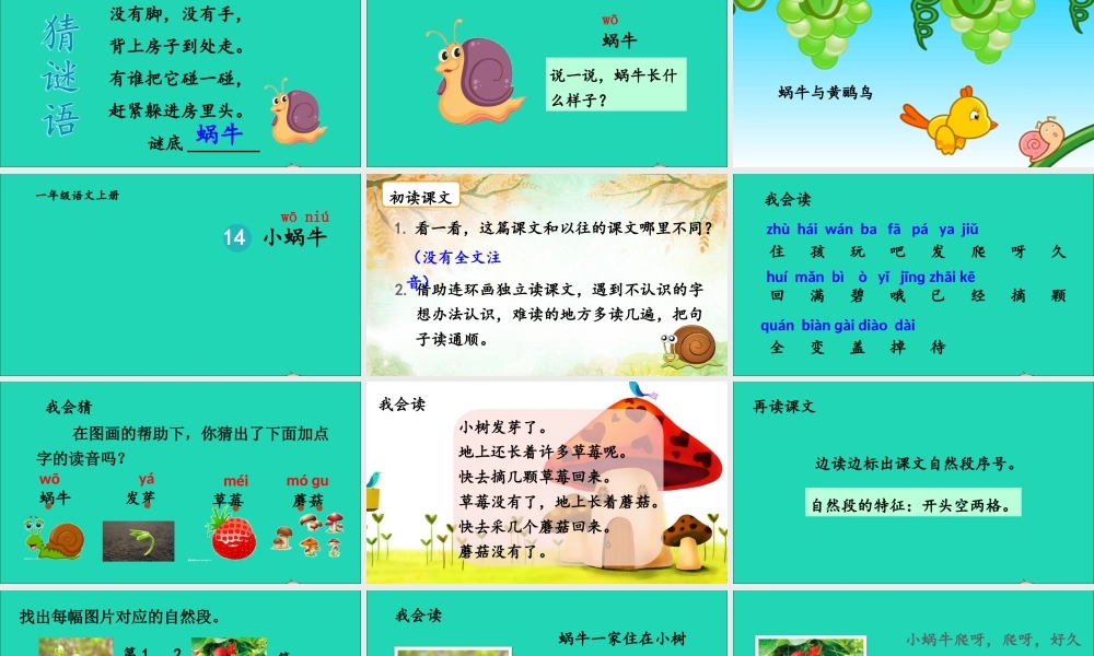 一年级语文上册 课文 小蜗牛课件+素材 新人教版