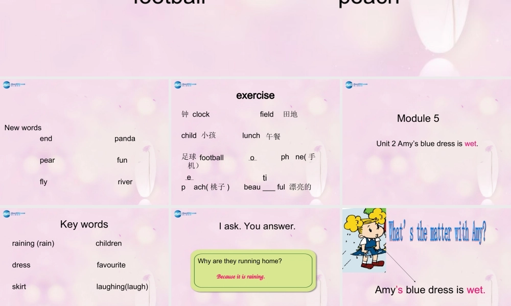 2014秋五年级英语上册 Module 5 Unit 2 Amy’s blue dress is wet课件2 外研版（一起）