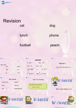 2014秋五年级英语上册 Module 5 Unit 2 Amy’s blue dress is wet课件2 外研版（一起）