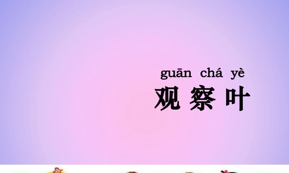 一年级科学上册 植物 1.3 观察叶课件 教科版-教科版小学一年级上册自然科学课件