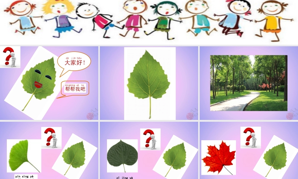 一年级科学上册 植物 1.3 观察叶课件 教科版-教科版小学一年级上册自然科学课件
