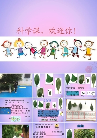 一年级科学上册 植物 1.4 这是谁的叶课件 教科版-教科版小学一年级上册自然科学课件
