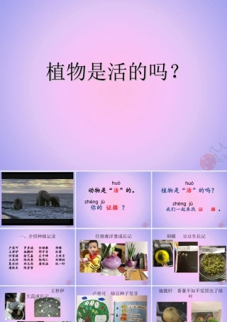 一年级科学上册 植物 1.5 植物是活的吗课件 教科版-教科版小学一年级上册自然科学课件