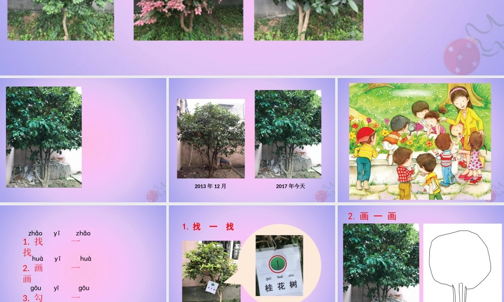 一年级科学上册 植物 1.6 校园里的植物课件 教科版-教科版小学一年级上册自然科学课件