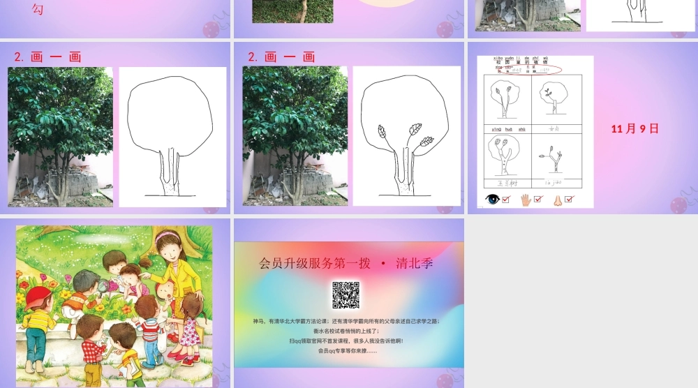 一年级科学上册 植物 1.6 校园里的植物课件 教科版-教科版小学一年级上册自然科学课件