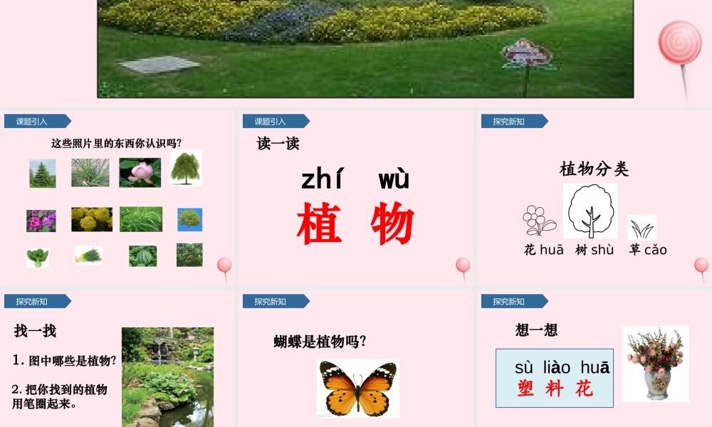 一年级科学上册 植物 1我们知道的植物课件 教科版-教科版小学一年级上册自然科学课件