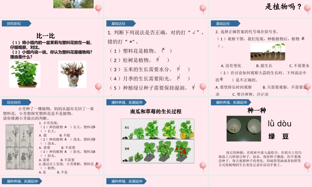 一年级科学上册 植物 1我们知道的植物课件 教科版-教科版小学一年级上册自然科学课件