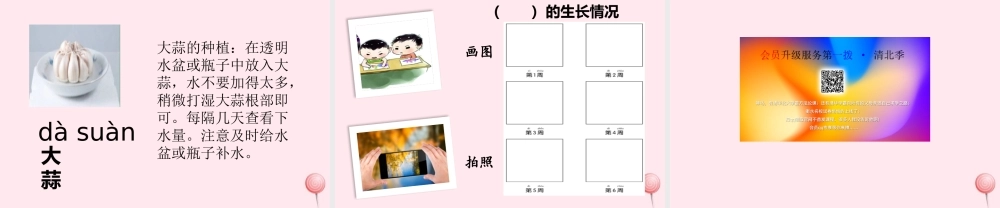 一年级科学上册 植物 1我们知道的植物课件 教科版-教科版小学一年级上册自然科学课件