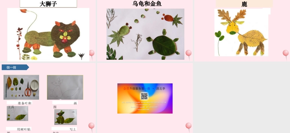 一年级科学上册 植物 3观察叶课件 教科版-教科版小学一年级上册自然科学课件