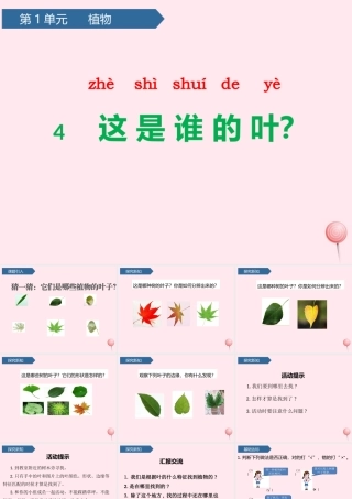 一年级科学上册 植物 4这是谁的叶课件 教科版-教科版小学一年级上册自然科学课件