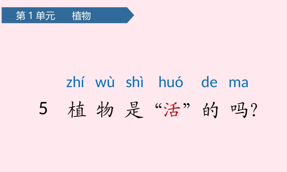 一年级科学上册 植物 5植物是活的吗课件 教科版-教科版小学一年级上册自然科学课件