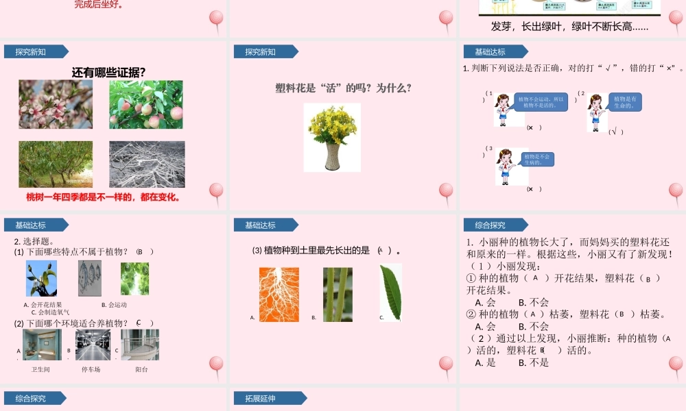 一年级科学上册 植物 5植物是活的吗课件 教科版-教科版小学一年级上册自然科学课件