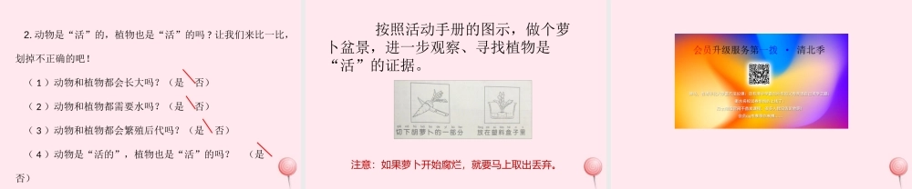 一年级科学上册 植物 5植物是活的吗课件 教科版-教科版小学一年级上册自然科学课件