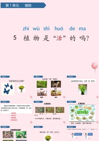 一年级科学上册 植物 5植物是活的吗课件 教科版-教科版小学一年级上册自然科学课件