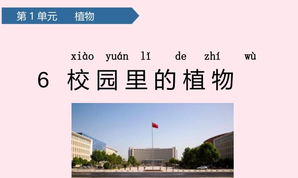 一年级科学上册 植物 6校园里的植物课件 教科版-教科版小学一年级上册自然科学课件